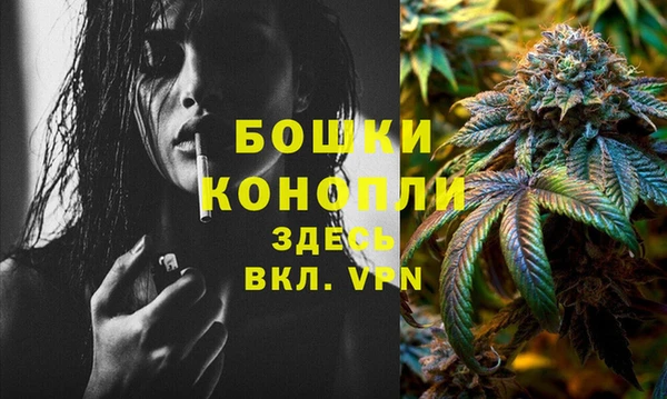 гидропоника Богданович