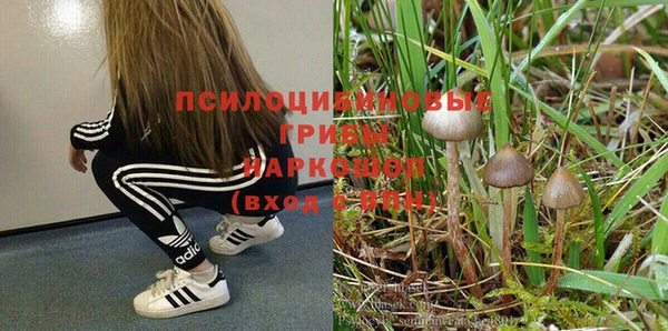 гидропоника Богданович